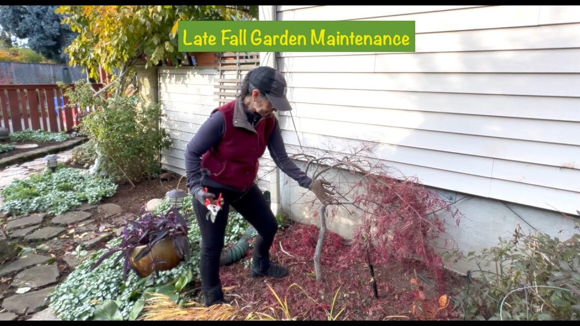 Late Fall Garden Maintenance