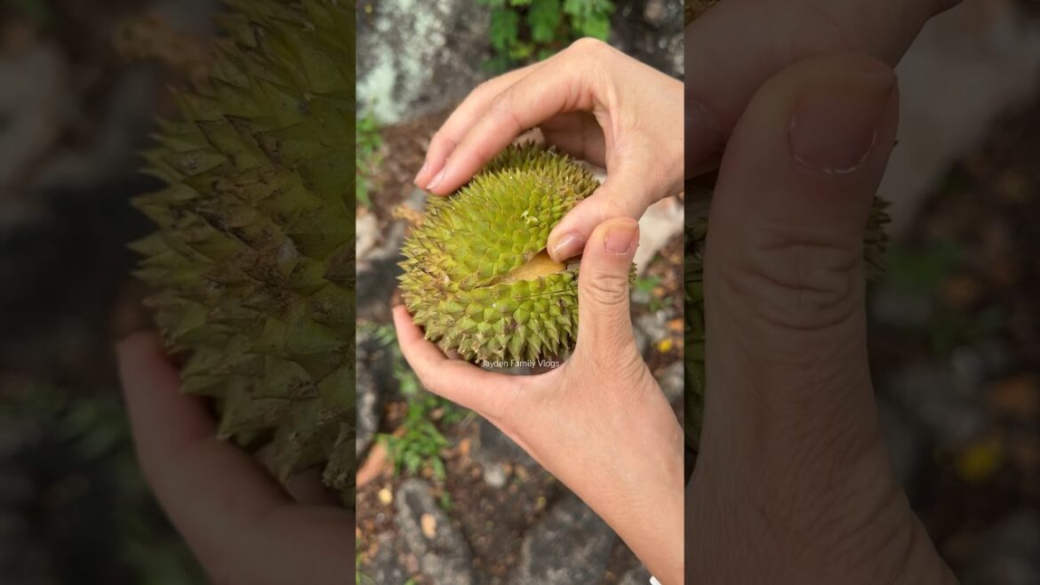 Fruit King 😱 #shorts #fruitcutting
