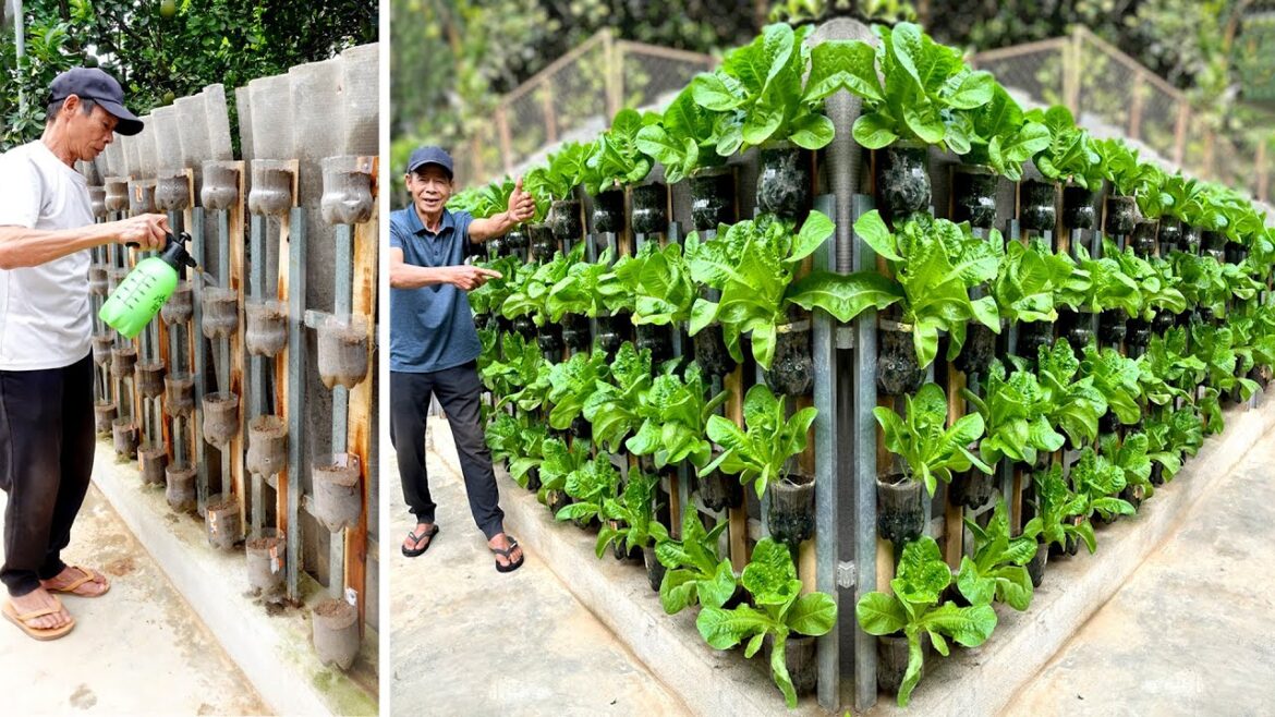 Good Ideas From Plastic Bottles, Have A Beautiful Vegetable Garden Right At Home Good Ideas From Plastic Bottles, Have A Beautiful Vegetable Garden Right At Home