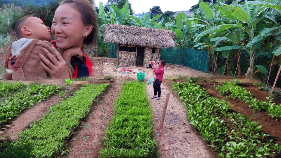 Single Mother Gardening And Growing Vegetables - peaceful life