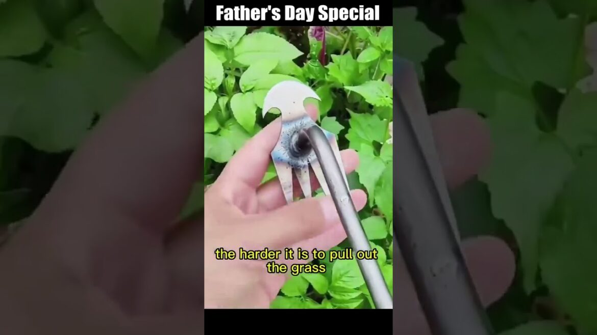 Best Garden Weeding Artifact: Uprooting Multifunctional Shovel | Multipurpose Garden Tool for Weedin Best Garden Weeding Artifact: Uprooting Multifunctional Shovel | Multipurpose Garden Tool for Weedin