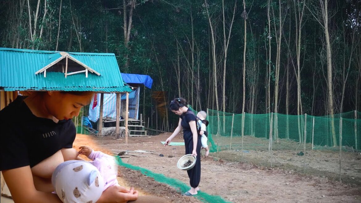 Single mother farm, Vegetable gardening, cleaning around the house, Off grid Cabin Ep 4