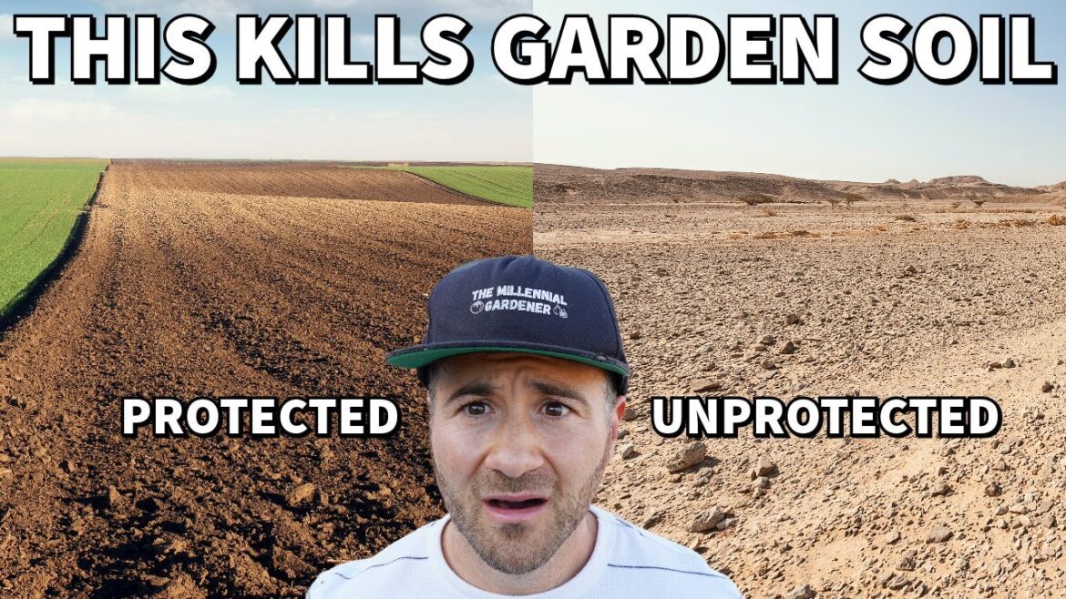 99% Of Gardeners Make This Killer Mistake With Their Soil! 99% Of Gardeners Make This Killer Mistake With Their Soil!