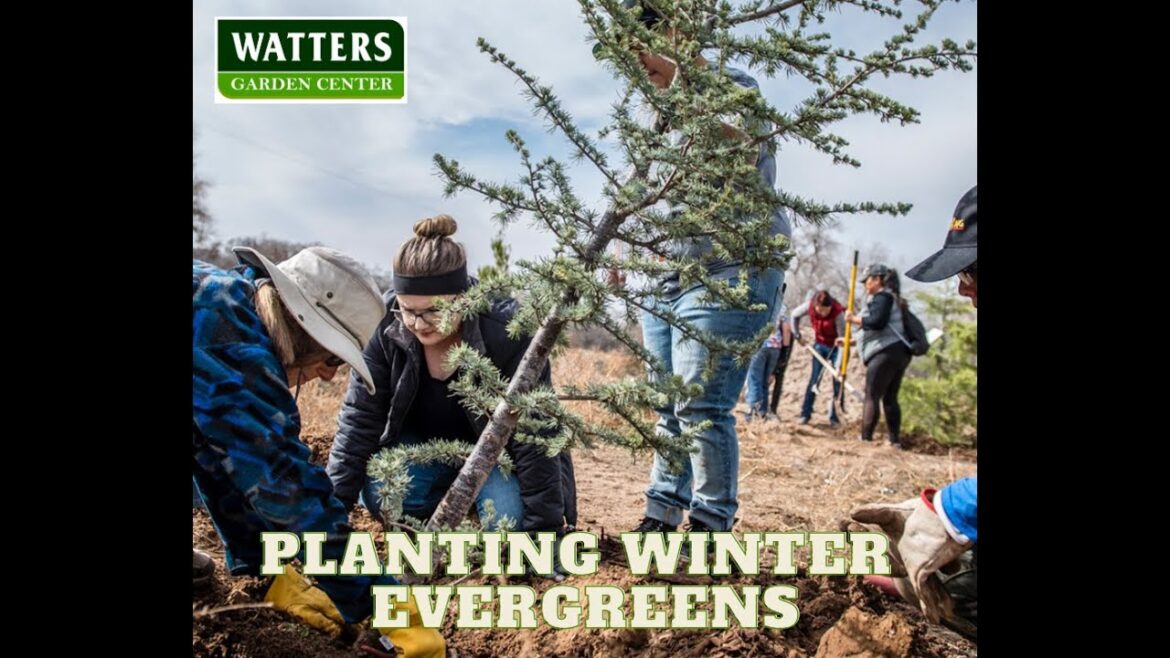 Top 10 Gardening Secrets for Your Arizona Mountain Landscape Top 10 Gardening Secrets for Your Arizona Mountain Landscape