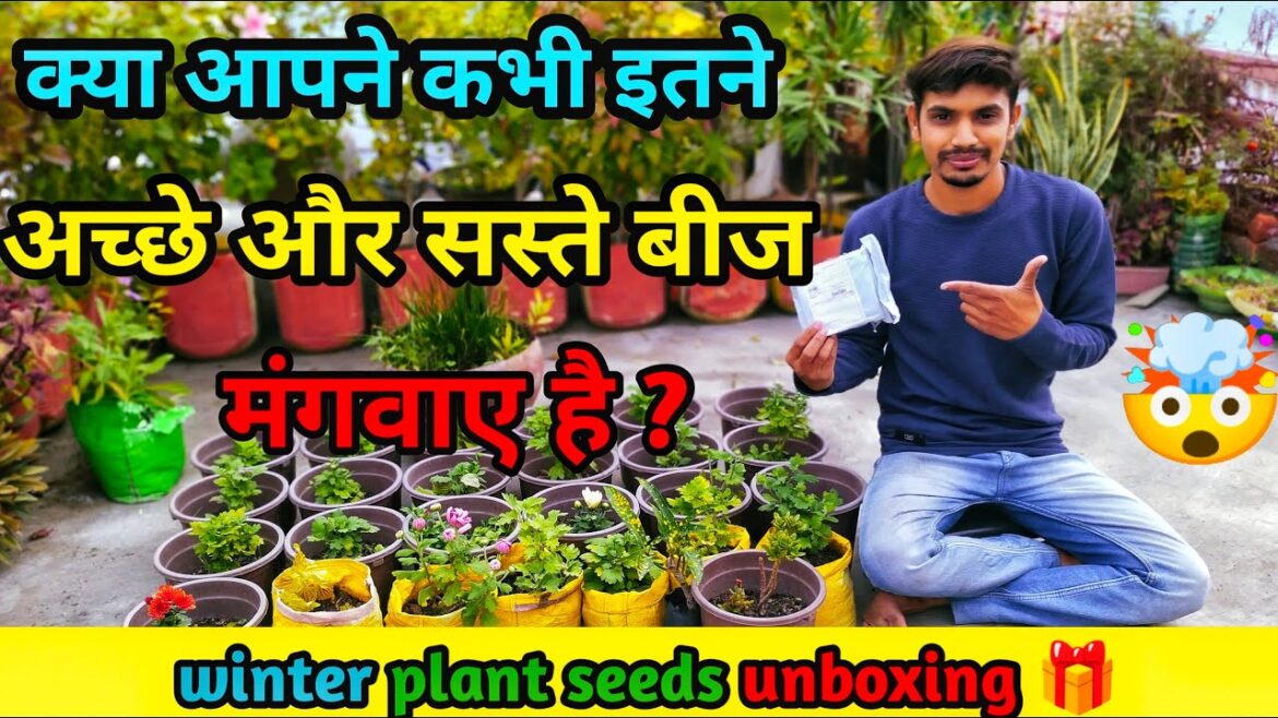 Gardening Zone Seeds Unboxing //क्या आपने कभी इतने सस्ते और अच्छे बीज मंगवाए हैं  @amanterracegarden Gardening Zone Seeds Unboxing //क्या आपने कभी इतने सस्ते और अच्छे बीज मंगवाए हैं  @amanterracegarden