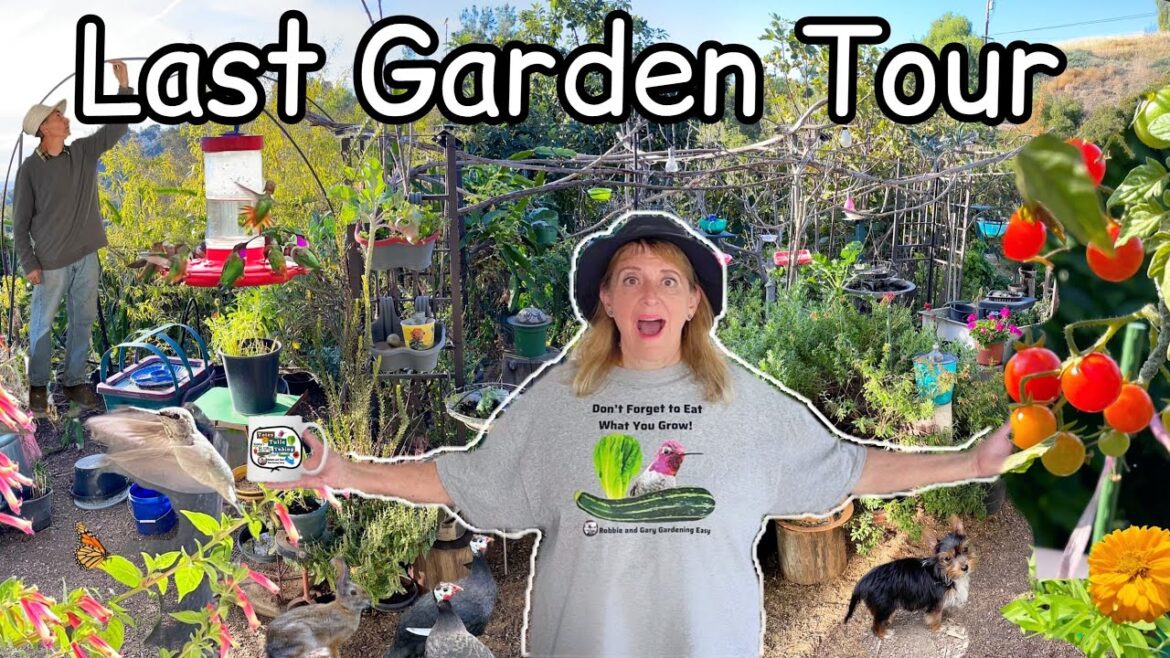 Garden Tour Abundance FULL of FOOD BEST TIPS for Growing Lettuce Ginger Turmeric Tomatoes Collard