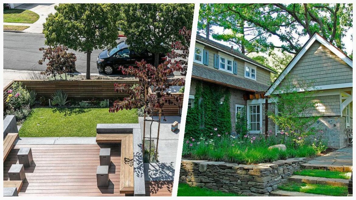 75 Modern Full Sun Landscaping Design Ideas You'll Love ⭐