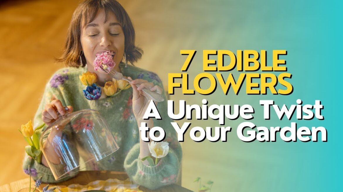 Top 7 Edible Flowers: A Unique Twist to Your Garden Top 7 Edible Flowers: A Unique Twist to Your Garden