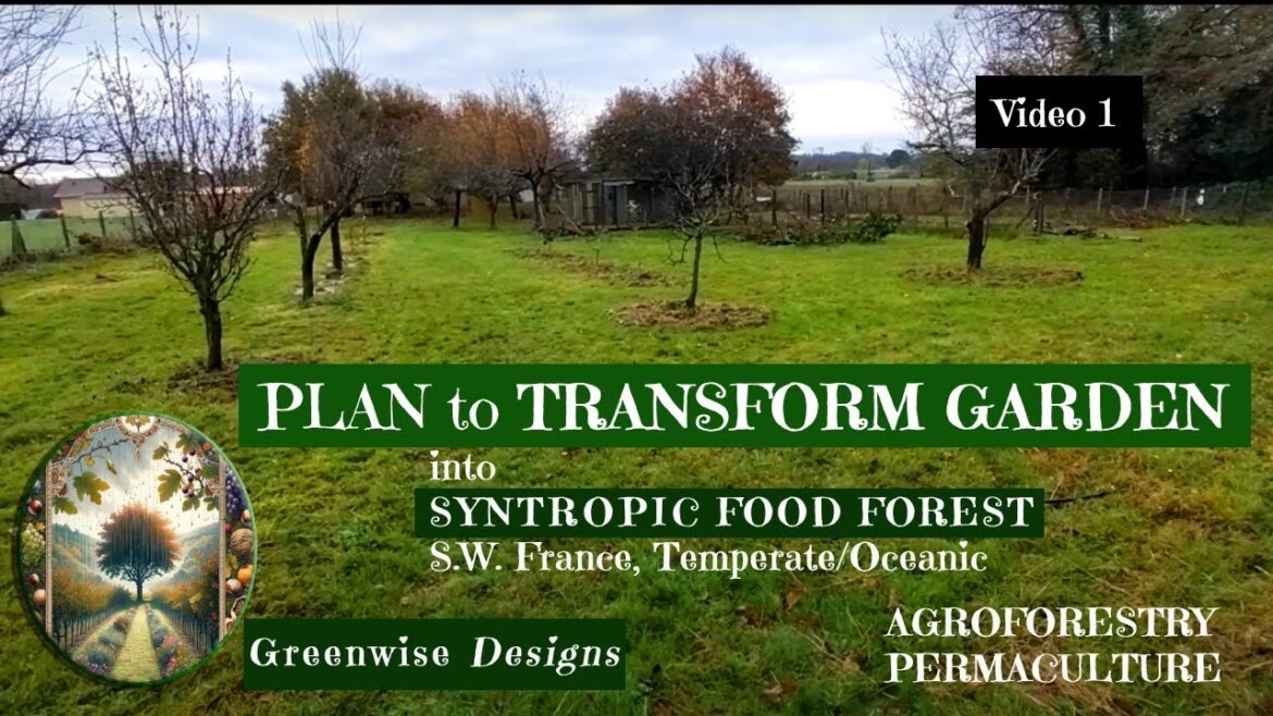 Plans (Ep. 1) to Transform Garden to Syntropic Food Forest in Temperate Climate (Interventions)