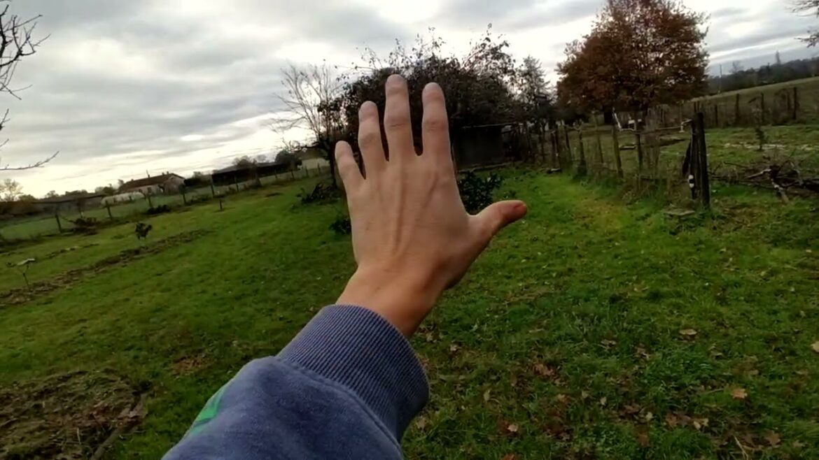 Plans (Ep. 1a) to Transform Garden into Syntropic Fruit Forest: Nursery Logs and planting Zones… Plans (Ep. 1a) to Transform Garden into Syntropic Fruit Forest: Nursery Logs and planting Zones...