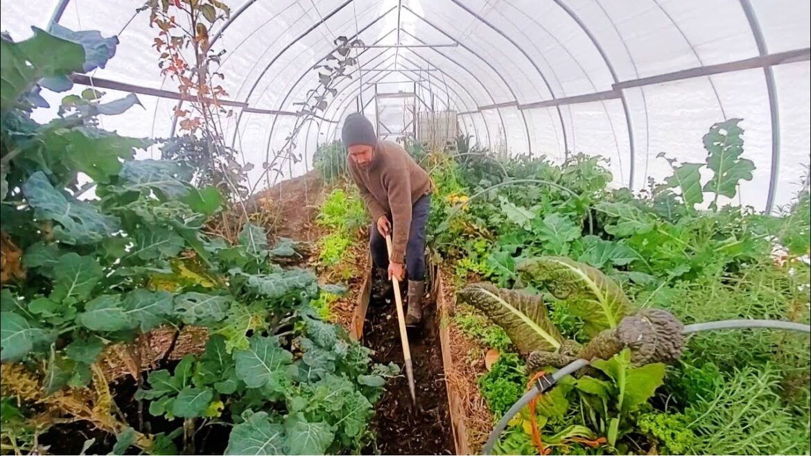 Hightunnel - Early Winter Renovations