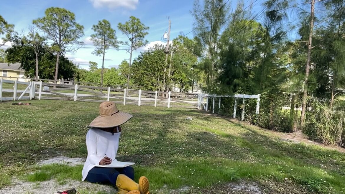 Sitting in my Fruitful Florida Garden making plans for this area. What should I plant? SouthFlorida