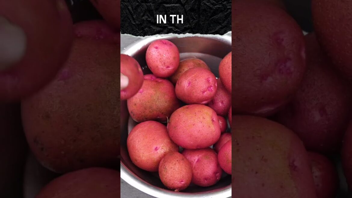 California Gardening: Part 2: Potato Success in Grow Bags! π±π₯ #Shorts Part 2: Potato Success in Grow Bags! π±π₯ #Shorts