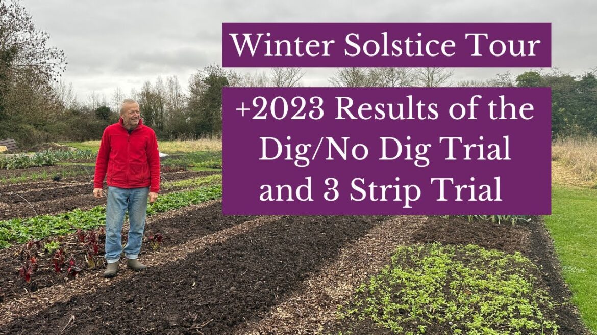 No dig garden1500 m² ready for spring, trial bed comparisons, winter vegetables and cover crops