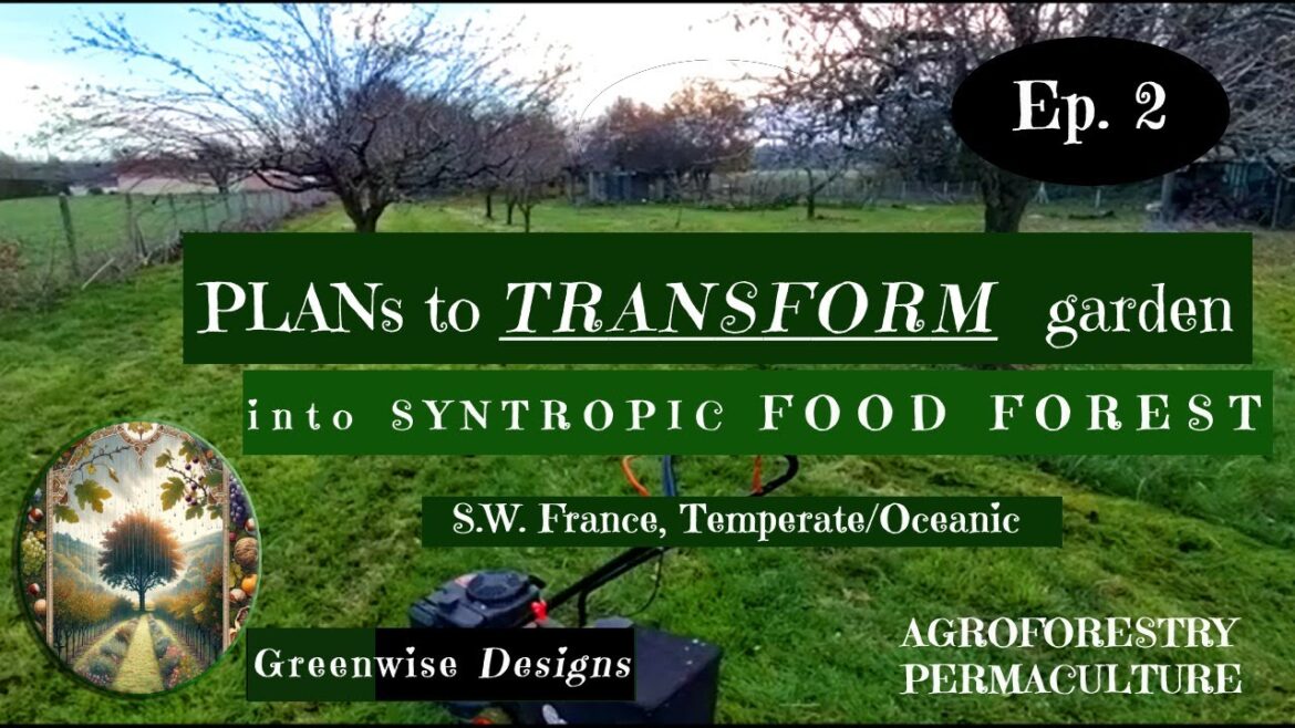 Plans etc. (Ep. 2) to Transform Garden into Food Forest in France – Syntropic Agroforestry Updates Plans etc. (Ep. 2) to Transform Garden into Food Forest in France - Syntropic Agroforestry Updates