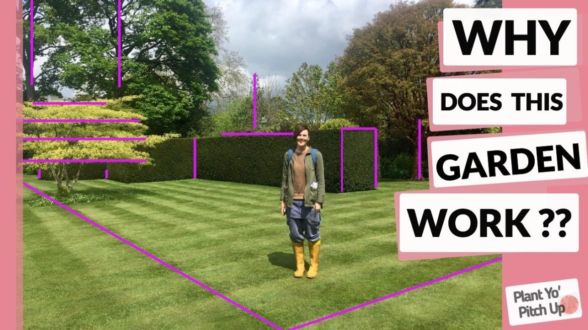 Why your GARDEN DESIGN needs LINES