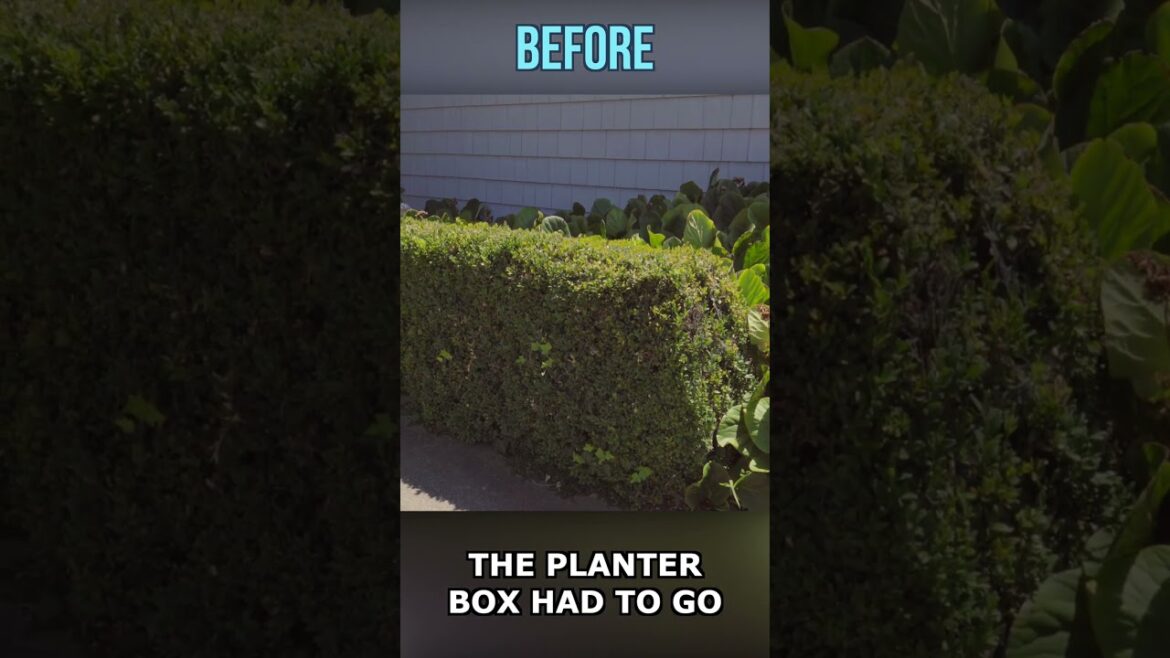 Front Yard REVEAL: Cape Cod House Flip Before & After🌺🚀