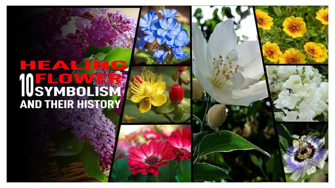 The Fascinating History and Symbolism of 10 Healing Flowers The Fascinating History and Symbolism of 10 Healing Flowers