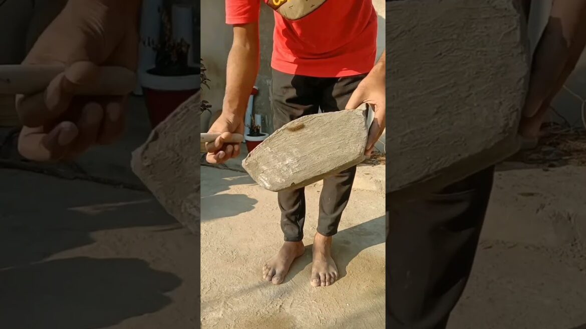 #garden #gardening #terracegarden #flowers #plants #gardendecor #gardendesign #shorts #youtube #garden #gardening #terracegarden #flowers #plants #gardendecor #gardendesign #shorts #youtube