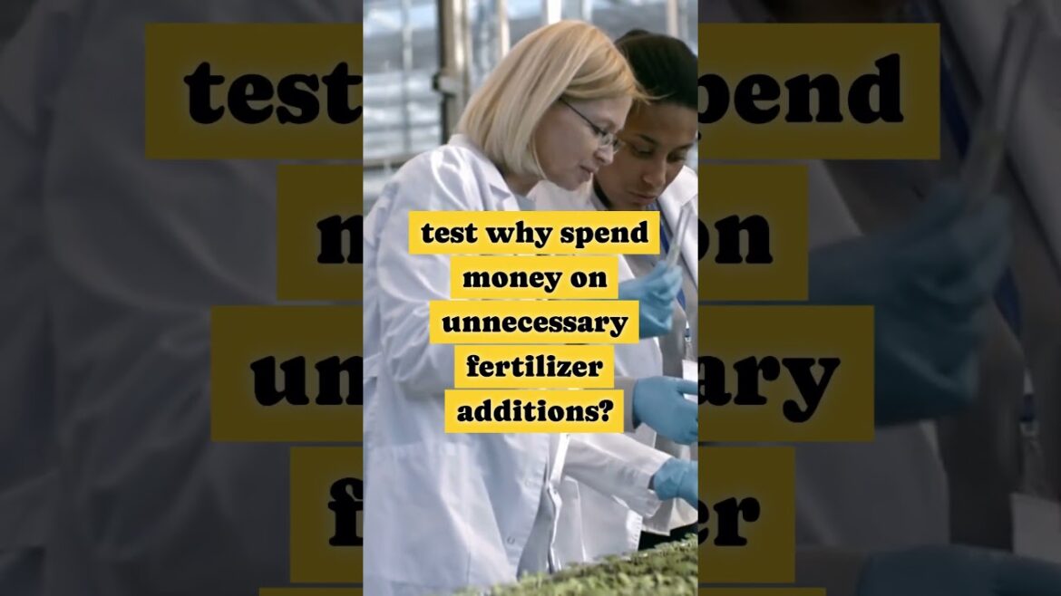 5 Things To Know Before You Start A Vegetable Garden #gardening tips #shorts 5 Things To Know Before You Start A Vegetable Garden #gardening tips #shorts