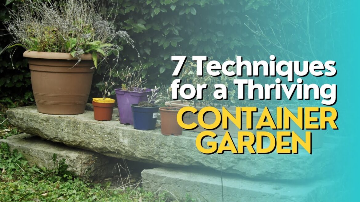 Top 7 Techniques for a Thriving Container Garden Top 7 Techniques for a Thriving Container Garden