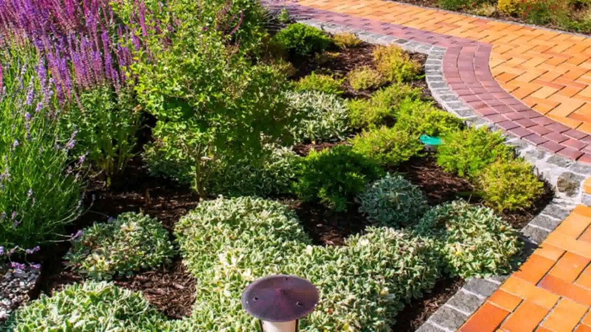 Front Yard Landscaping Ideas Texas