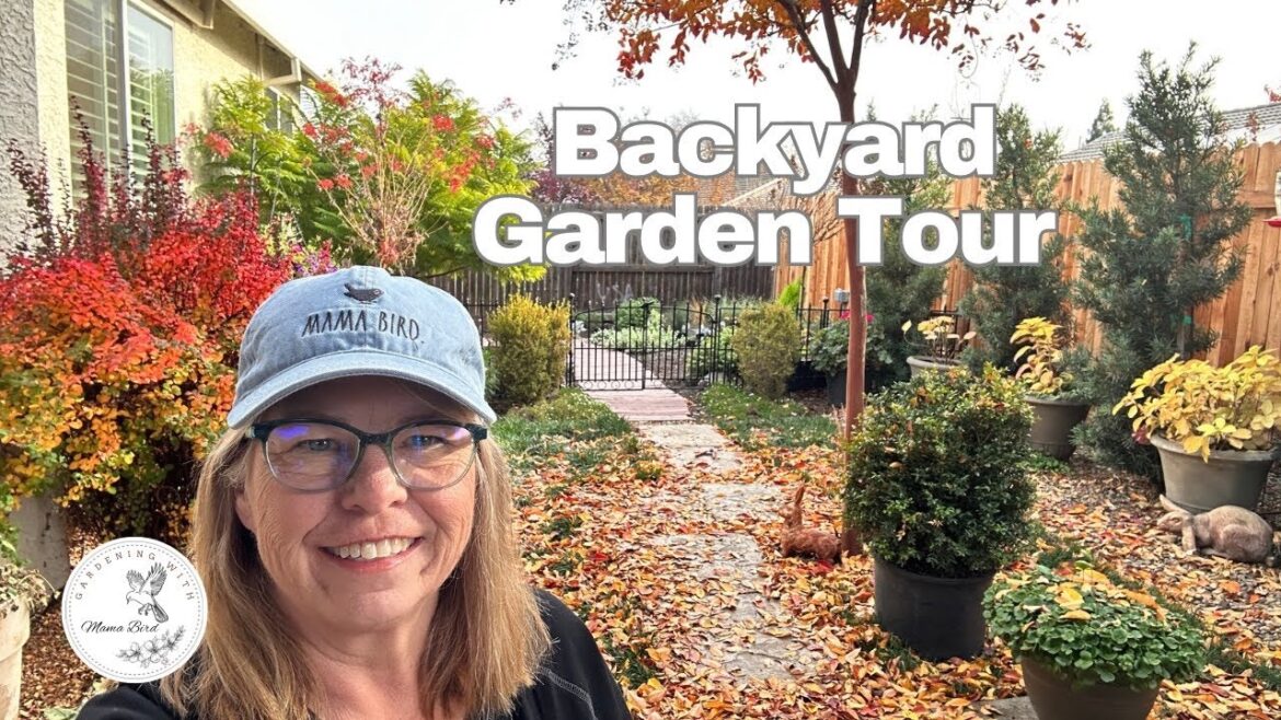 Fall Backyard Garden Tour 🍁 Filled with Beautiful Autumn Colors #garden #zone9b #backyardgardening