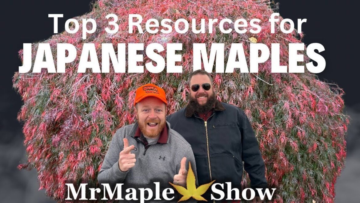 Top 3 Resources to Learn About Japanese Maples! This is How We Learned! Top 3 Resources to Learn About Japanese Maples! This is How We Learned!