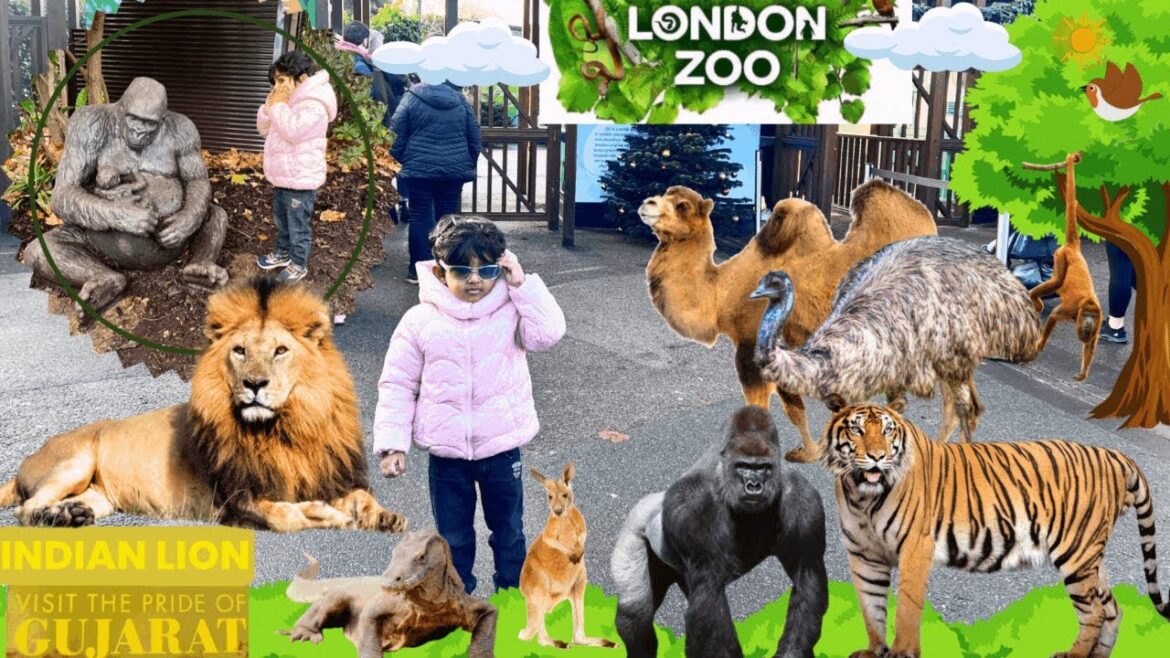 LONDON ZOO: Animals’ World 🌍Tour| Part – 1|Indian🇮🇳 Lion and Goddess Worship🧐#viral #uk #zoo #animal LONDON ZOO: Animals' World 🌍Tour| Part - 1|Indian🇮🇳 Lion and Goddess Worship🧐#viral #uk #zoo #animal