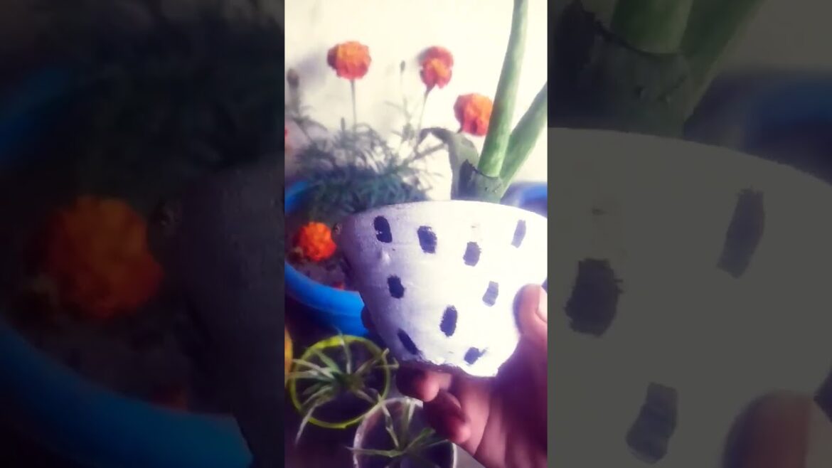 #droughttolerantplants #motivate #plants #hardyplants #gardening tips😍