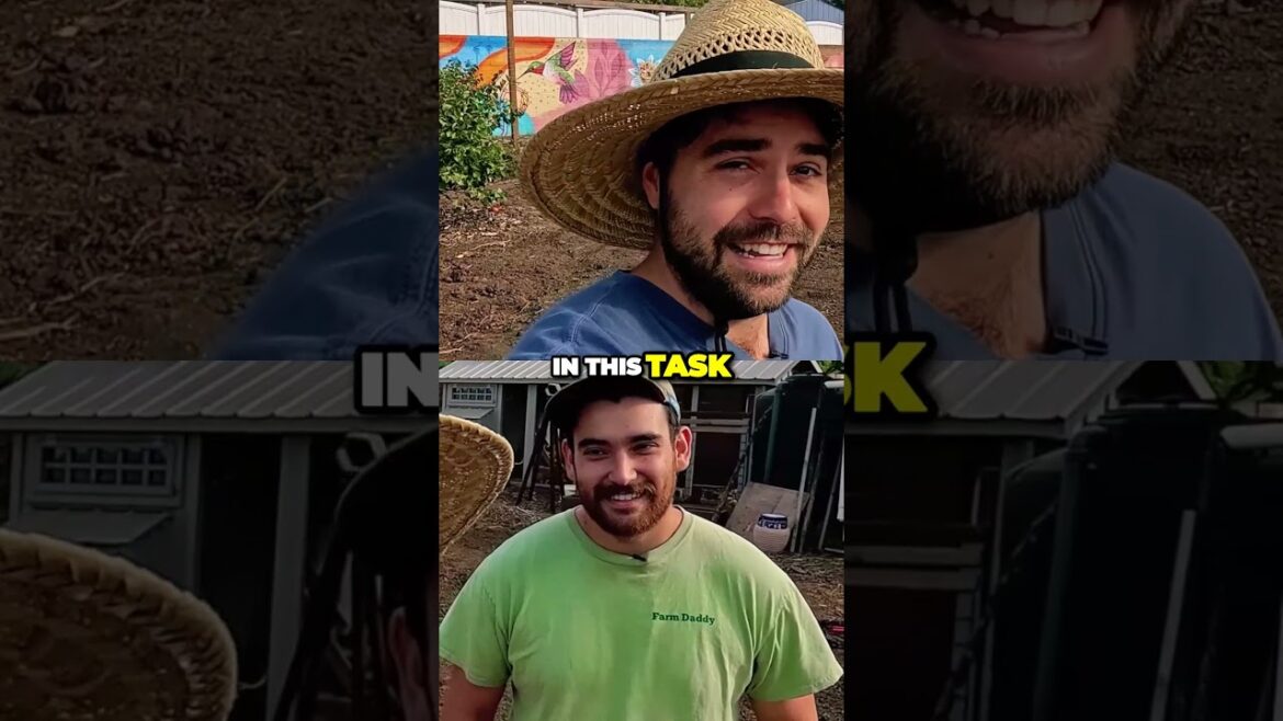 Revamping the Epic Homestead  Join Kevin's Vacation Adventure! #garden