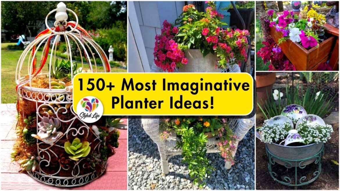 150+ Most Imaginative Recycled Planter Ideas for Your Garden! Container Gardening Made Easy 150+ Most Imaginative Recycled Planter Ideas for Your Garden! Container Gardening Made Easy