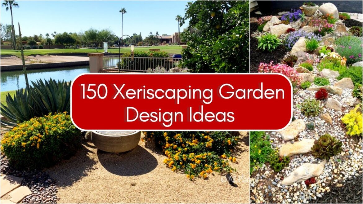 Xeriscape Landscaping Ideas! 150 Drought Tolerant Garden Designs