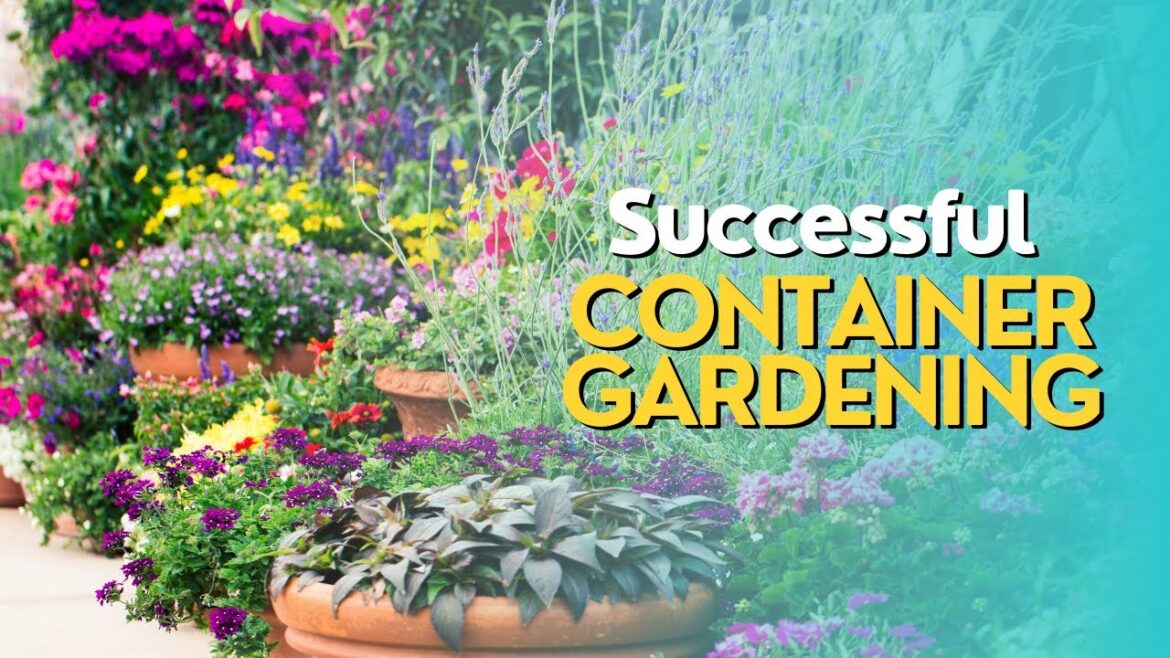 Successful Container Gardening Successful Container Gardening