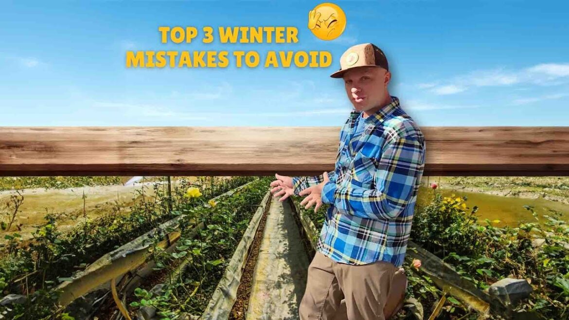 Top 3 Winter Gardening Mistakes You’re Making Right Now Top 3 Winter Gardening Mistakes You're Making Right Now