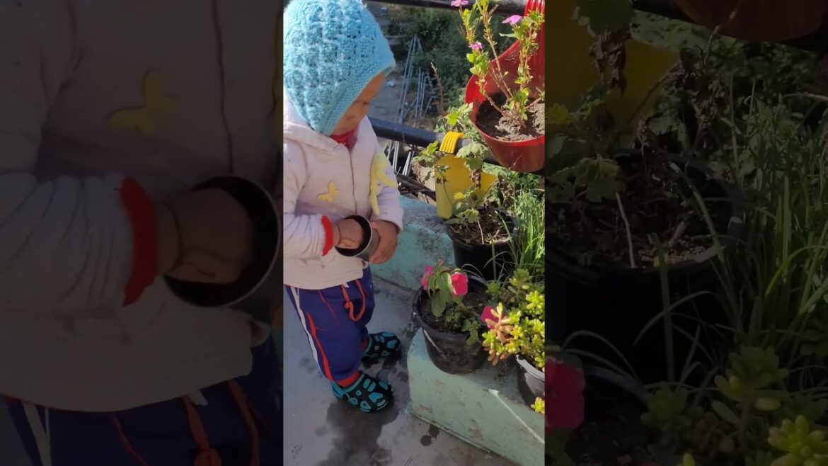 Choti Si Aasha🎵📸♥️🤗😍🥰#viral#trending#save💧#nature love#shortfeed#for you#cute#feeling #cutebaby#life Choti Si Aasha🎵📸♥️🤗😍🥰#viral#trending#save💧#nature love#shortfeed#for you#cute#feeling #cutebaby#life