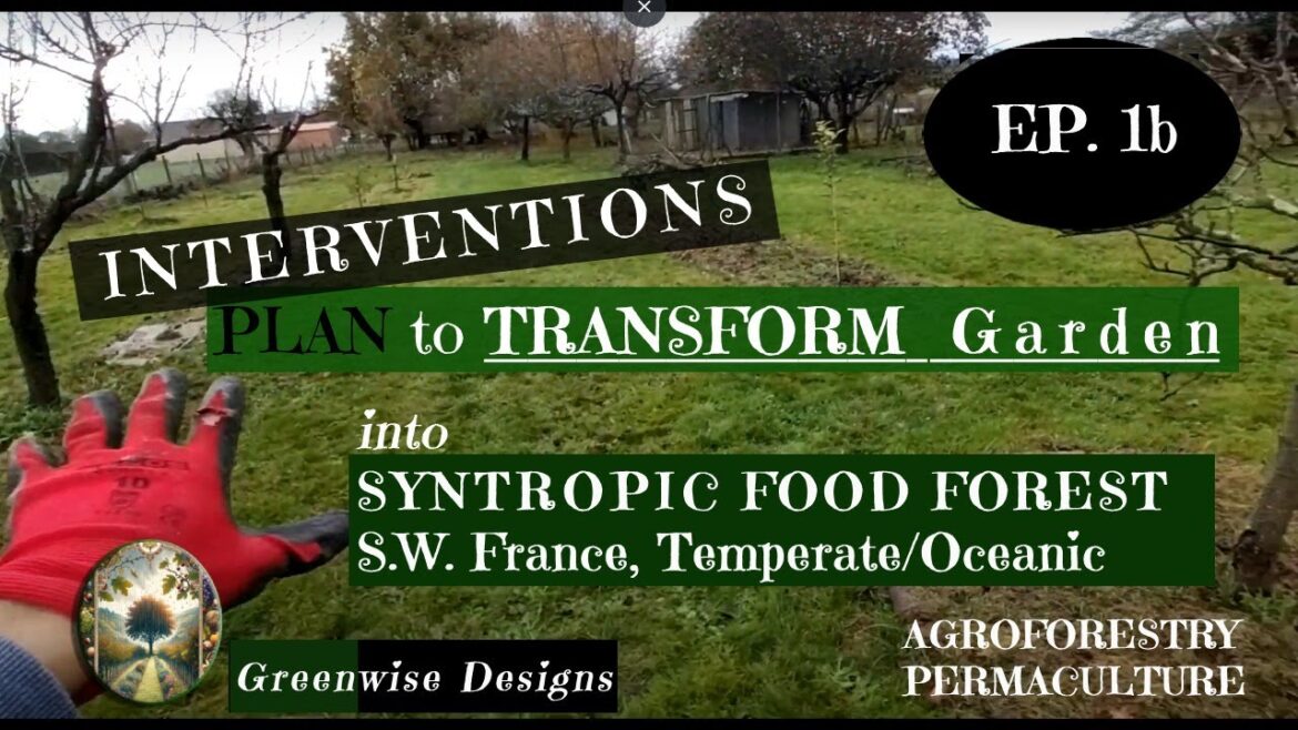 Plans (Ep. 1b) to Transform Garden into Food Forest in Temperate Climate (‘Greenwise’ Interventions) Plans (Ep. 1b) to Transform Garden into Food Forest in Temperate Climate ('Greenwise' Interventions)