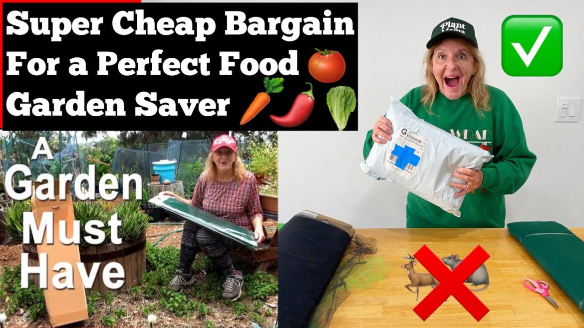 Best Garden Life SAVER to GROW Tons of Vegetables Fruit Plants & Seeds Anywhere Container Gardening Best Garden Life SAVER to GROW Tons of Vegetables Fruit Plants & Seeds Anywhere Container Gardening