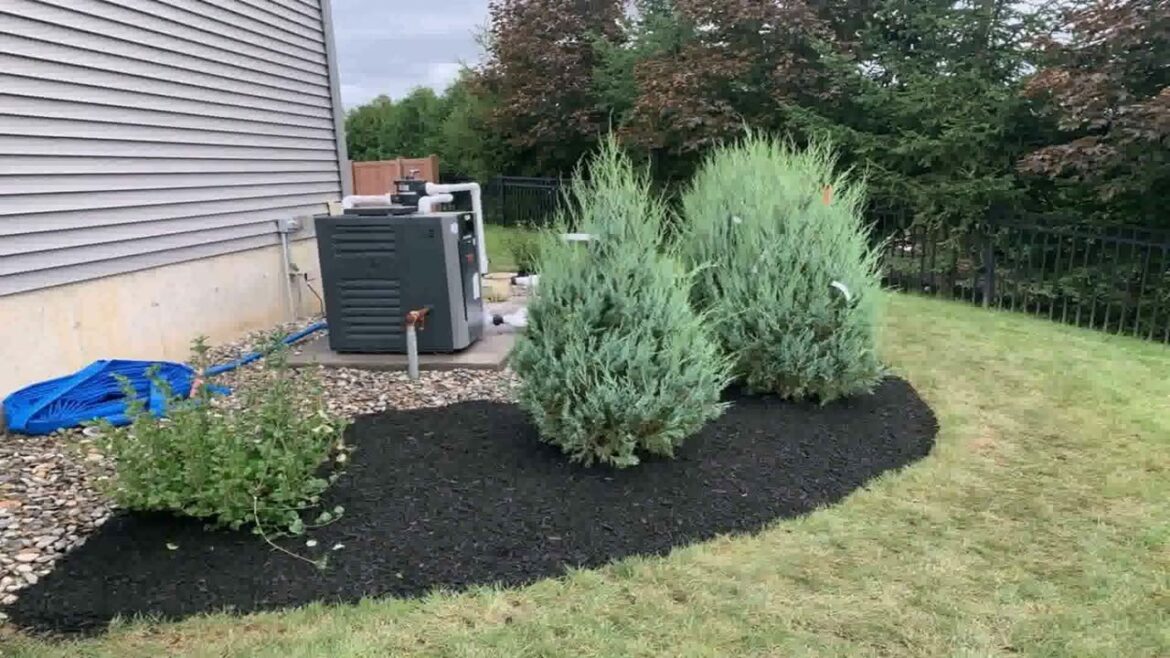 Backyard Landscaping Ideas Under Trees