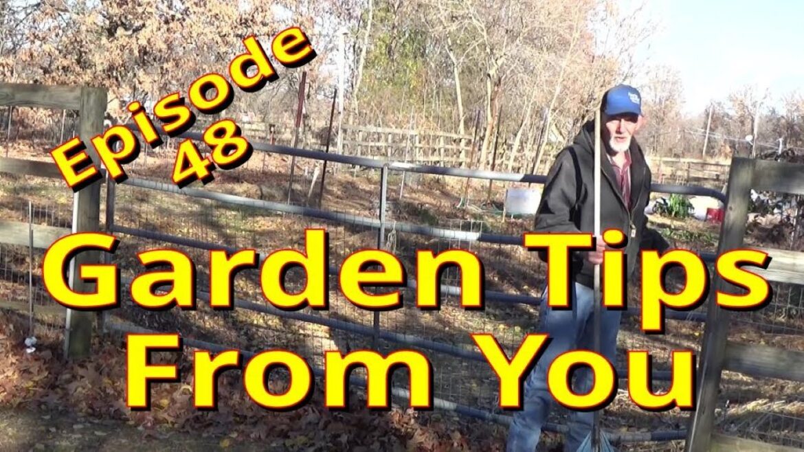 Garden Tips, Winter Mulch And You, Episode 48, 12-9-2023 Garden Tips, Winter Mulch And You, Episode 48, 12-9-2023