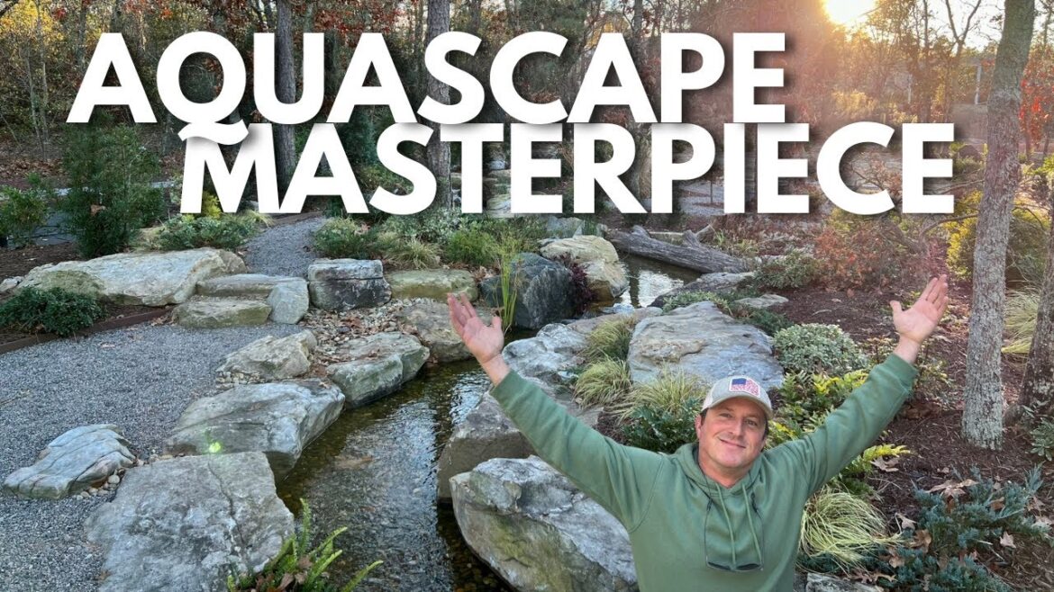 An Aquascape Masterpiece: Update on our DREAM STREAM An Aquascape Masterpiece: Update on our DREAM STREAM