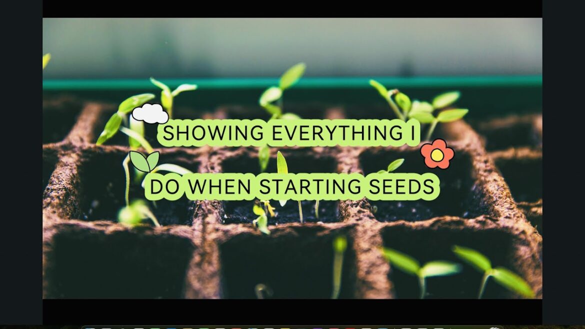 #WIG2023 Seed Challenge: Unlock your gardening potential #vegetables #gardening #WIG2023 #WIG2023 Seed Challenge: Unlock your gardening potential #vegetables #gardening #WIG2023