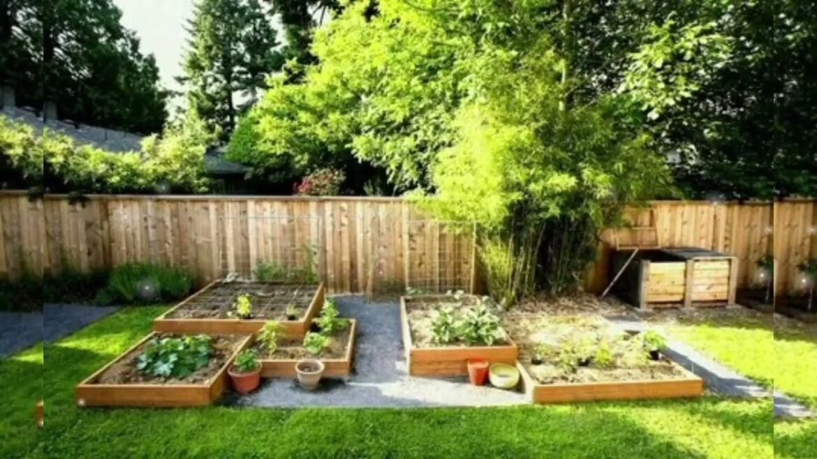 Which Garden design to choose 🏕 - Garden Secrets Unveiled