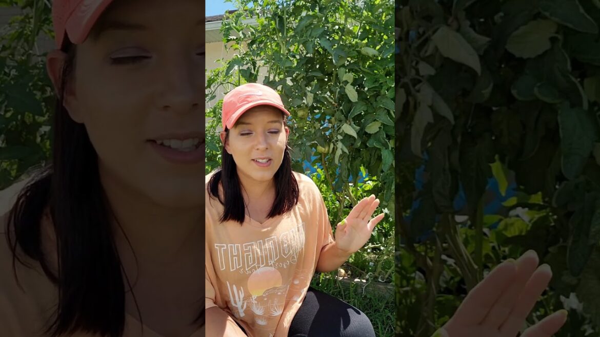 May Garden Inspiration – What to grow for a summer garden #gardeningtips #vegetablegarden #garden May Garden Inspiration - What to grow for a summer garden #gardeningtips #vegetablegarden #garden