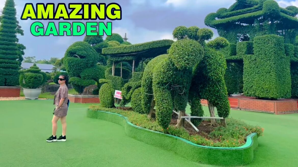 The gardens are uniquely shaped!
