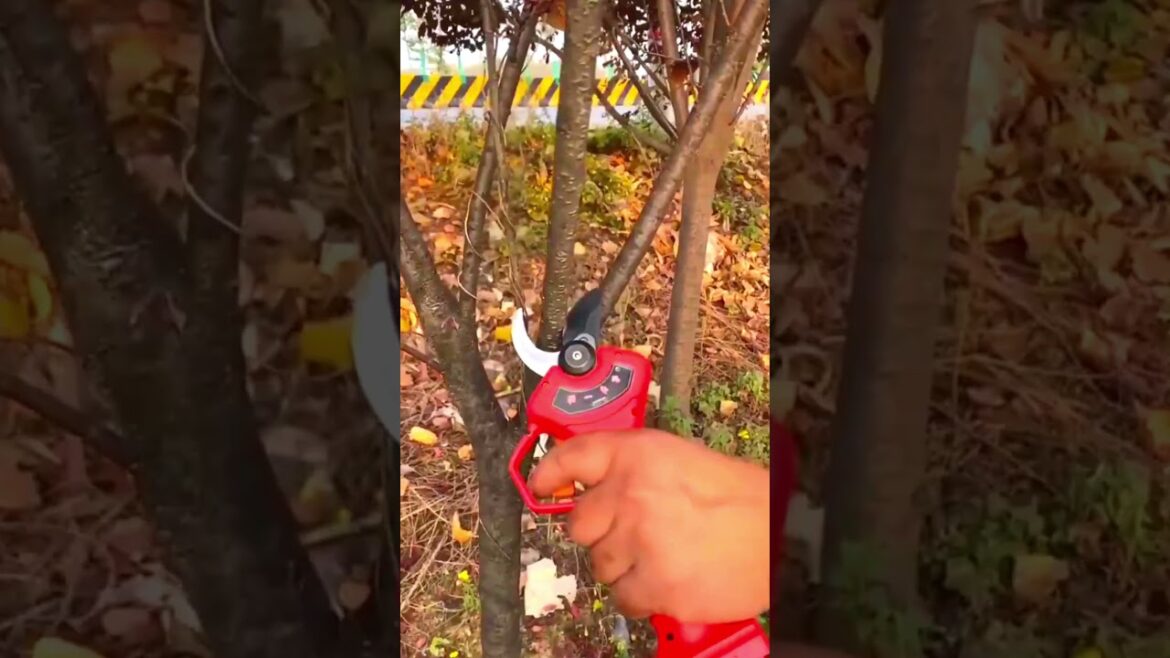 Essential Garden Equipment: Tools Every Gardener Needs Tetrasmart #shorts Essential Garden Equipment: Tools Every Gardener Needs Tetrasmart #shorts