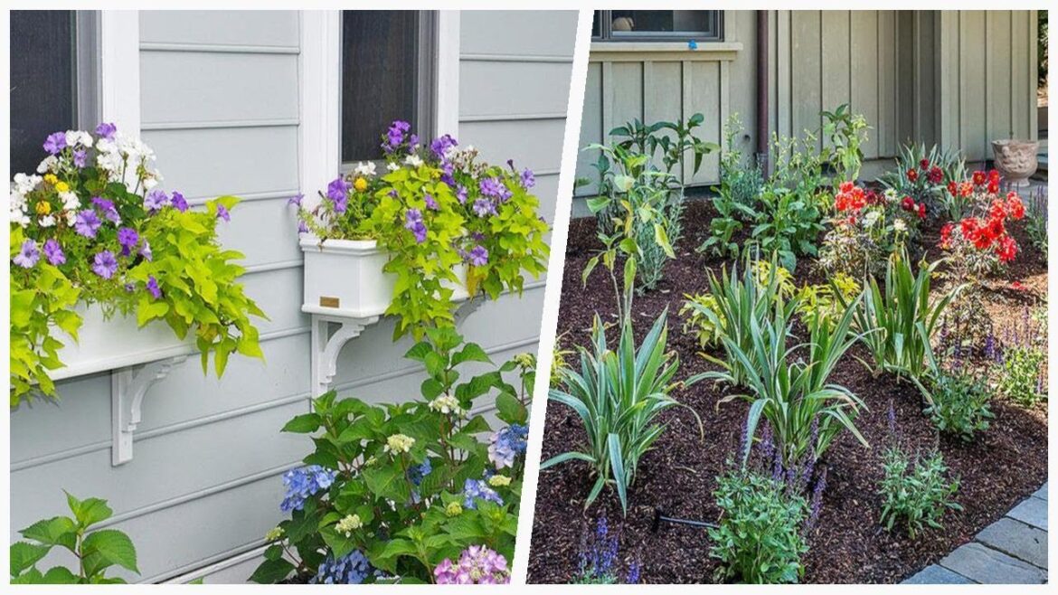 75 Small Transitional Landscaping Design Ideas You’ll Love 🔴 75 Small Transitional Landscaping Design Ideas You'll Love 🔴
