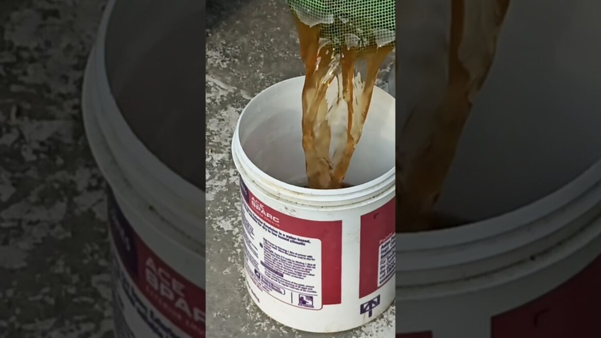 गुलाब के पौधे के लिए Liquid Fertilizer कैसे बनाए | Rose Plant Care | गुलाब गुलाब के पौधे के लिए Liquid Fertilizer कैसे बनाए | Rose Plant Care | गुलाब