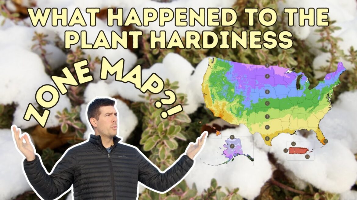 MIgardener: Zone Hardiness Maps Changed in a BIG WAY – What This Means For You (The Answer is Surprising) Zone Hardiness Maps Changed in a BIG WAY - What This Means For You (The Answer is Surprising)