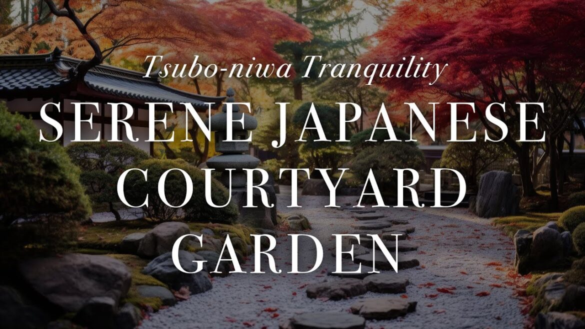 Serene Japanese Courtyard Garden: Tsubo-niwa Tranquility